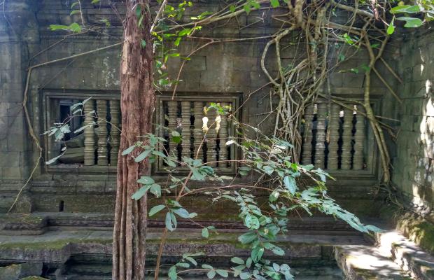 Lost Temple Adventure-Koh Ker and Beng Mealea
